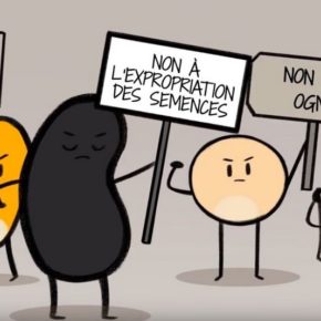 Protégeons les semences Protégeons les semences