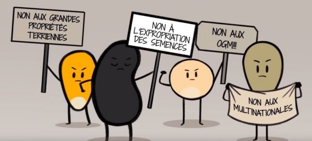 Protégeons les semences Protégeons les semences
